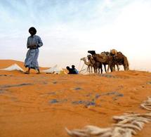 Point Afrique renonce à son vol mauritanien