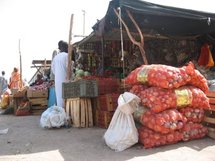 La Mauritanie et le Sénégal plus exposés à la hausse des prix