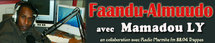 Débat en direct de Paris ce dimanche 12 juillet à partir de 19h sur  www.seneweb.com/radio avec Mamadou LY  faandu almuudo