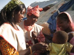 Le personnel de la Croix-Rouge et du Croissant-rouge évaluant la malnutrition des enfants pendant les campagnes à domicile, dans le village de Nima, près de Kaédi, au sud la Mauritanie.