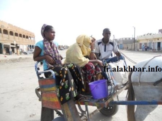 Nouakchott : La charrette moins chère pour se déplacer