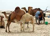 330 millions de dollars de la Banque Mondiale pour la santé et l'agriculture