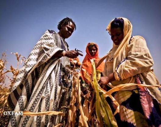 Baba Maal durant sa visite au Gorgol (Photo: Oxfam)