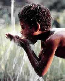 22 mars 2012 - La  Journée Mondiale de l'Eau  portera sur "l'eau et la sécurité alimentaire".  