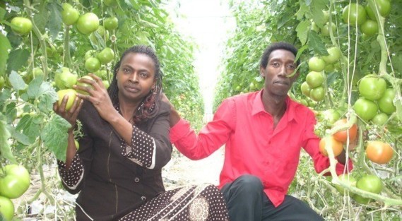 Daniel Minani et sa compagne Madeleine Nyandwi dans leur potager, au Québec.