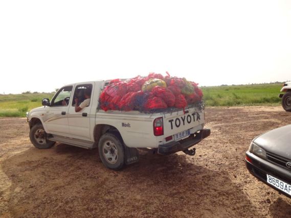 3ème Caravane de fraternité : L’AMDM visite les villages de Moundouwaye, Loboudou et  Aly Guélel