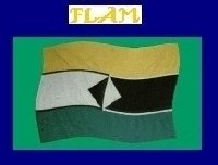 La Célébration du 24 éme anniversaire des FLAM aux Etats-Unis d’Amérique ! Compte rendu de Ibrahima Sow Baltimore