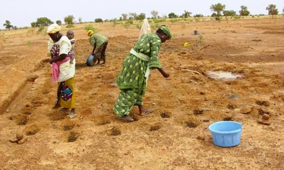 Hommage à la jeune fille et à la femme africaines, tant pour leur esprit d’endurance que pour les sacrifices consentis par elles.