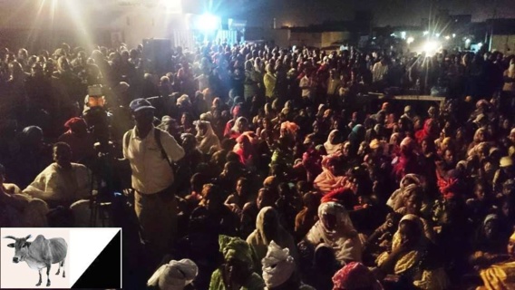 Message de Ibrahima Moctar Sarr, 9 juin 2014 (photos du meeting de Nouadhibou)