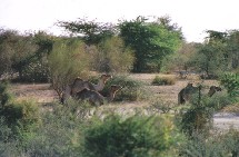 Mauritanie: Ouverture du 3ème festival de littérature