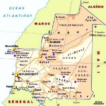 La Mauritanie perd 40.000 hectares de forêts par an