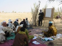 SÉNÉGAL: Pour de nouveaux programmes d'enseignement dans les langues locales 