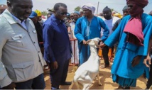 Sénégal - Tabaski : Amadou Ba constate un excédent de 20.000 moutons à 12 jours de la fête