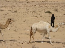 Les bailleurs de fonds sollicités pour l'éradication des mines antipersonnel