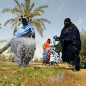 Mauritanie.  Souffrir pour être belle et grosse  