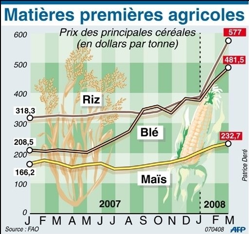 Evolution des prix des principales céréales en 2007-2008