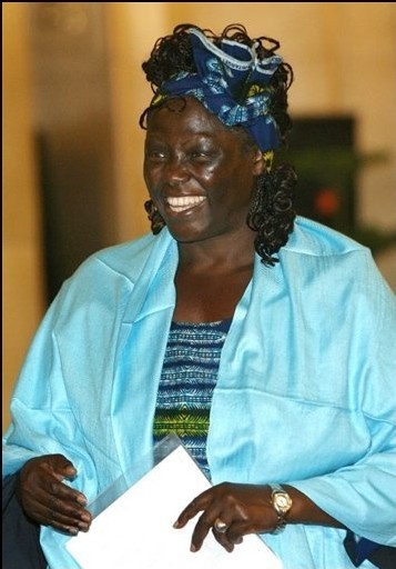 La prix Nobel Wangari Maathai se retire du relais de la flamme en Tanzanie