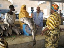 La Mauritanie annonce un plan d’urgence face à la hausse du coût de la vie