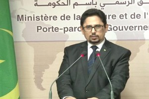 "Il n'y a pas de fosses communes et nous ne sommes pas au courant de leur découverte" (Porte-parole du Gouvernement)