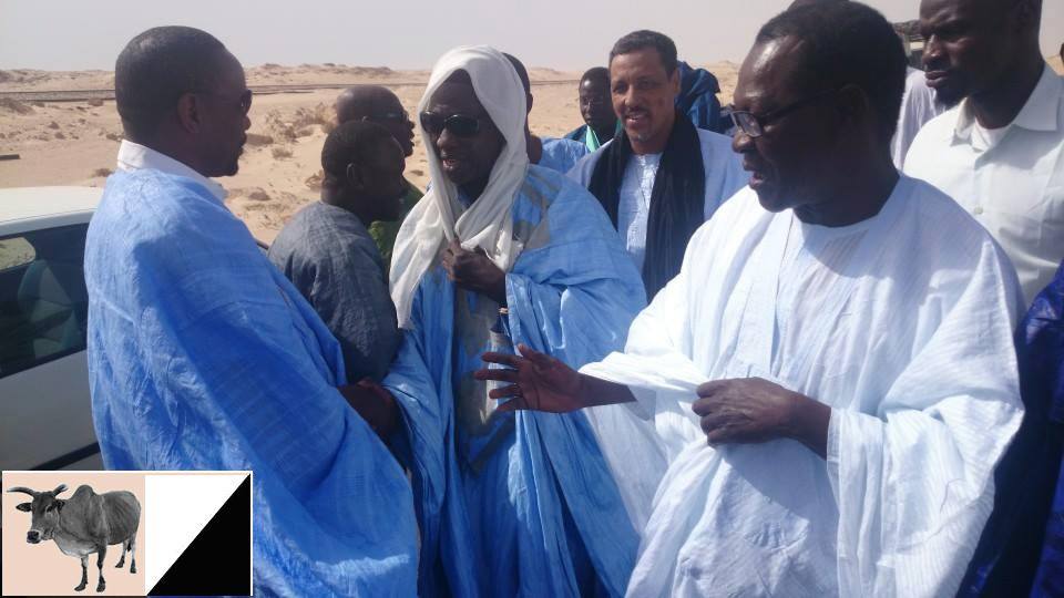 Message de Ibrahima Moctar Sarr, 9 juin 2014 (photos du meeting de Nouadhibou)