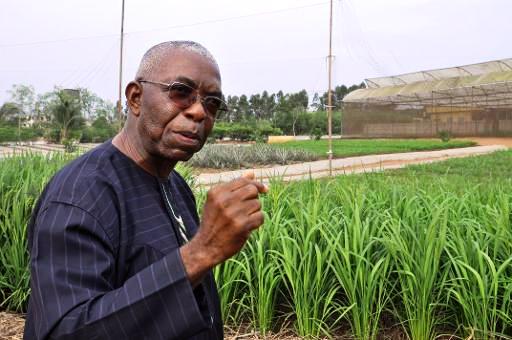 Le père Godfrey Nzamujo, directeur de la ferme bio Songhaï, à Porto-Novo