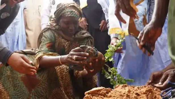 Pour lutter contre la désertification, la Mauritanie envisage de reboiser une superficie de 20.000 hectares