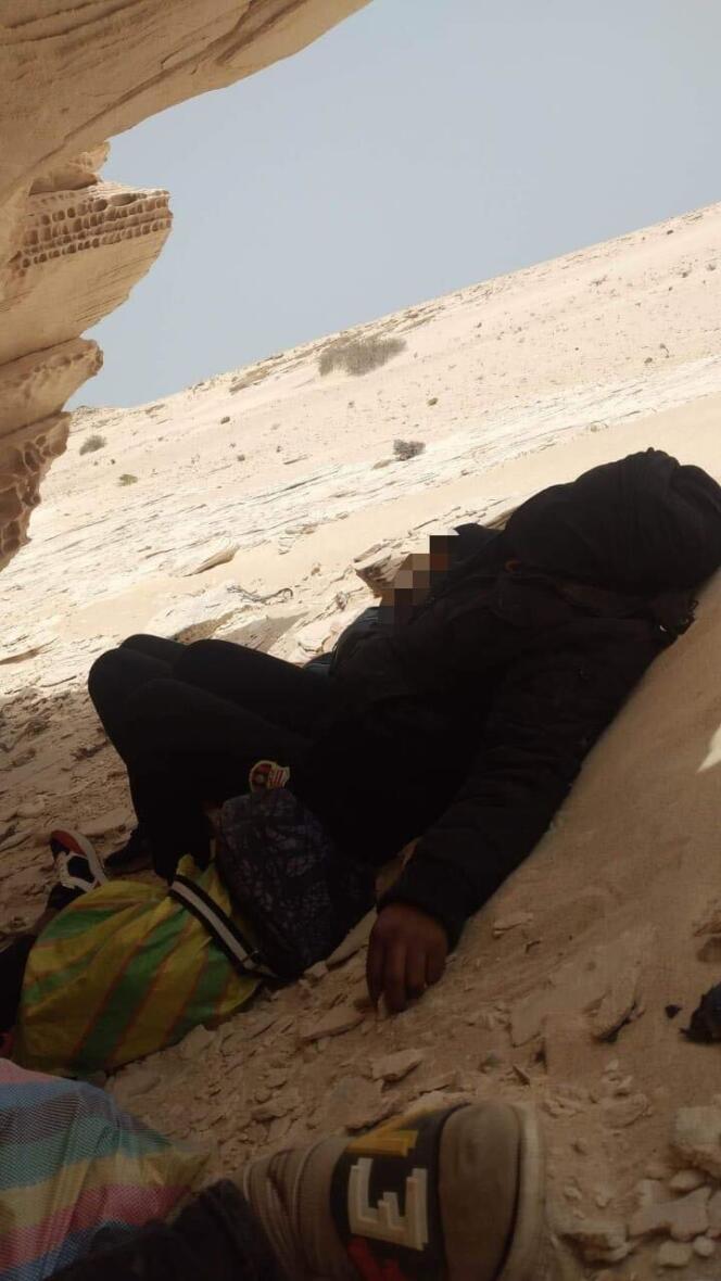 Dans le Sahara, « les policiers marocains ont lâché les chiens sur nous »