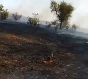 M’Bagne : Un feu de brousse dévore environ 5 km entre N’Diawaldi et Thiooga