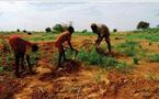 Interventions d’urgence: Des fonds pour la Mauritanie