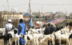 La Tabaski sera célébrée vendredi en Mauritanie