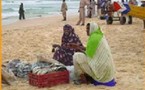 Les 50 ans de l’Europe célébrés à Nouakchott