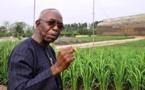 Au Bénin, une ferme bio comme modèle pour l'Afrique