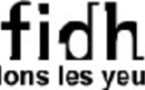 La FIDH recommande une commission Vérité sur le passif humanitaire