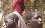 Organisation d'une journée de sensibilisation sur le retour des réfugiés mauritaniens 