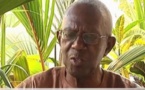 Décès du professeur Amady Aly Dieng : Une bibliothèque s'effondre !