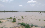 Montée des eaux du fleuve Sénégal : Toute la zone du Dandé Mayo sud touchée