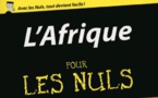 Vient de paraître: le livre « L’Afrique pour les nuls » veut en finir avec les préjugés sur l’Afrique