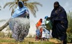 Mauritanie.  Souffrir pour être belle et grosse  